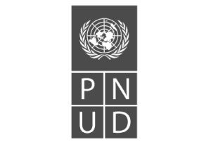 CooperaciónInternacional-PNUD